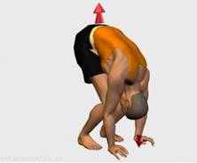 Estiramiento (stretching, streching) recomendado para: triatlon, lumbares.